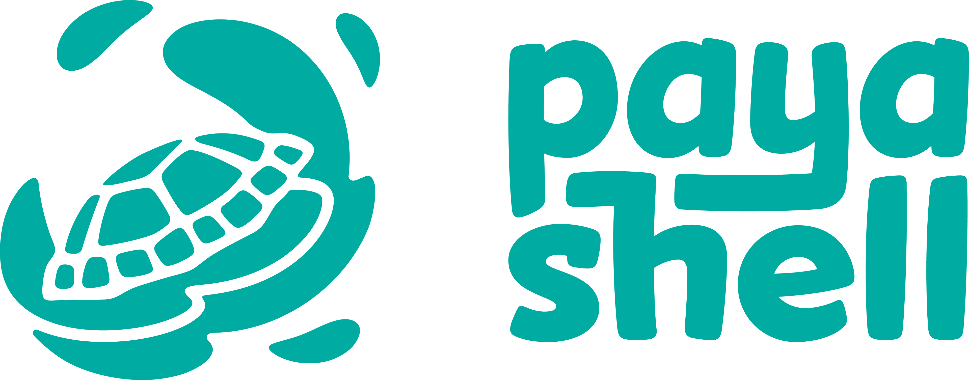 Paya Shell